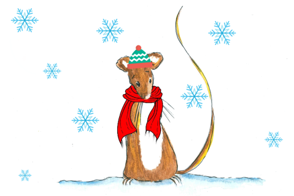 Short Stories Tall Tales - Mouse And Sam’s Winter Holiday